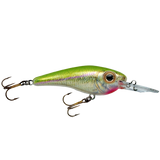 Lindy Shadling